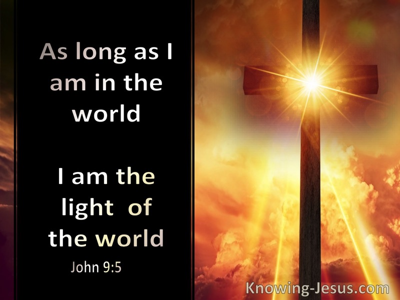 John 9:5 While I Am In The World I Am The Light Of The World (brown)